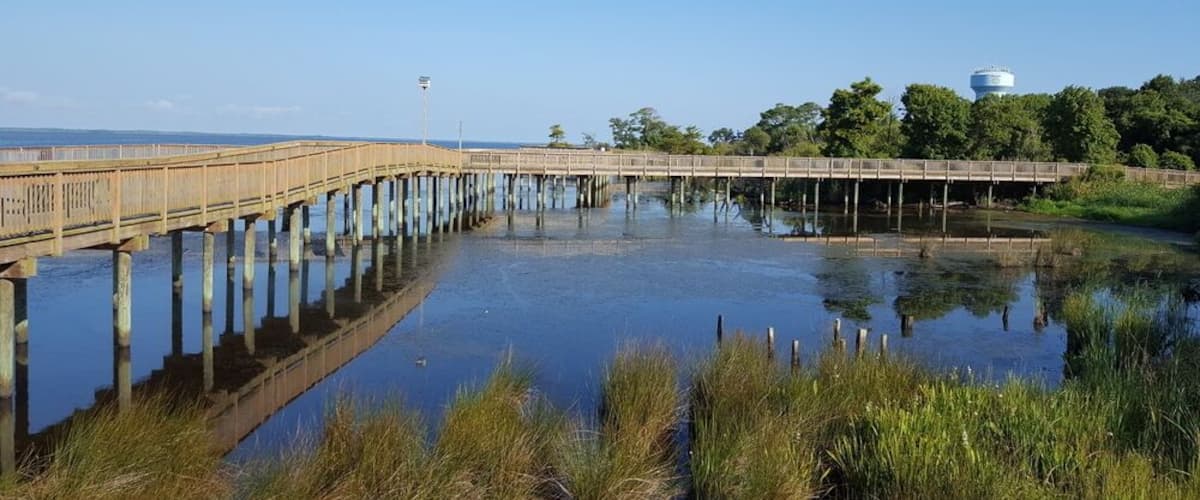 A wooden pier extending over a calm body of water, surrounded by grassy areas and trees.