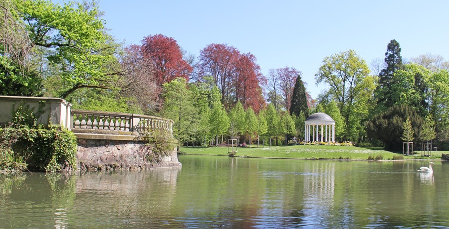 A serene park with a pond, a gazebo, and a swan swimming.