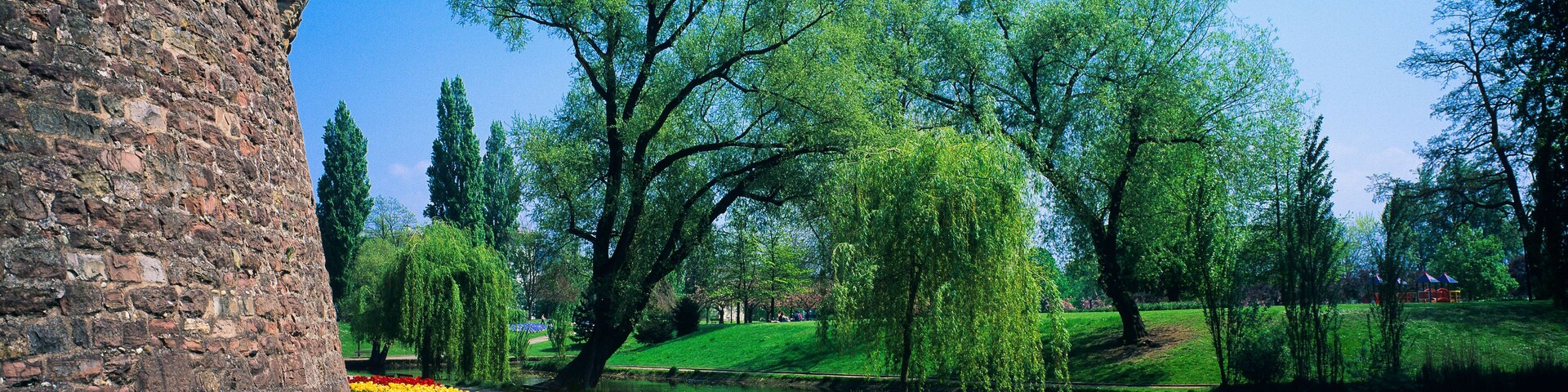 BHNBHB Tulip flowerbeds and Vauban ramparts, Parc de la Citadelle, citadel park, Strasbourg, Alsace, France