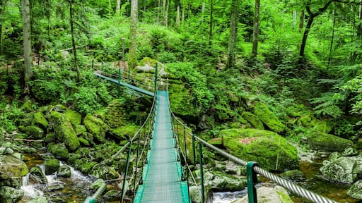 Hängebrücke an der Buchberger Leite im Bayerischen Wald