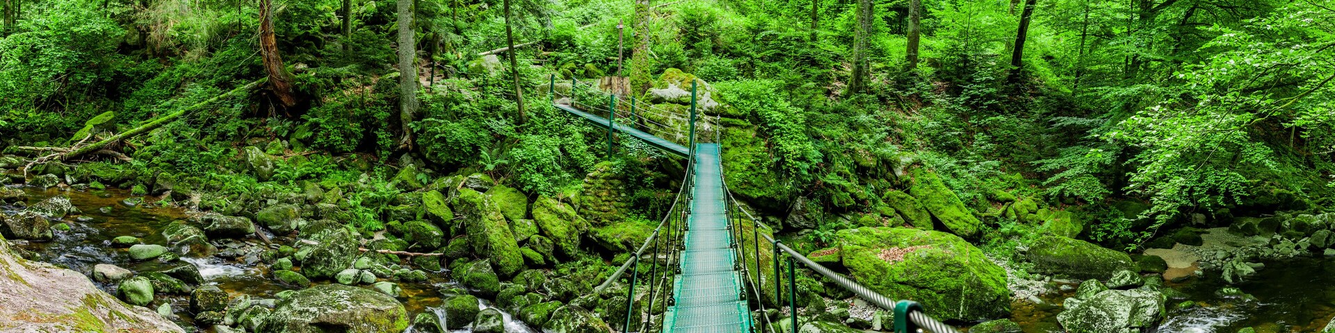 Hängebrücke an der Buchberger Leite im Bayerischen Wald