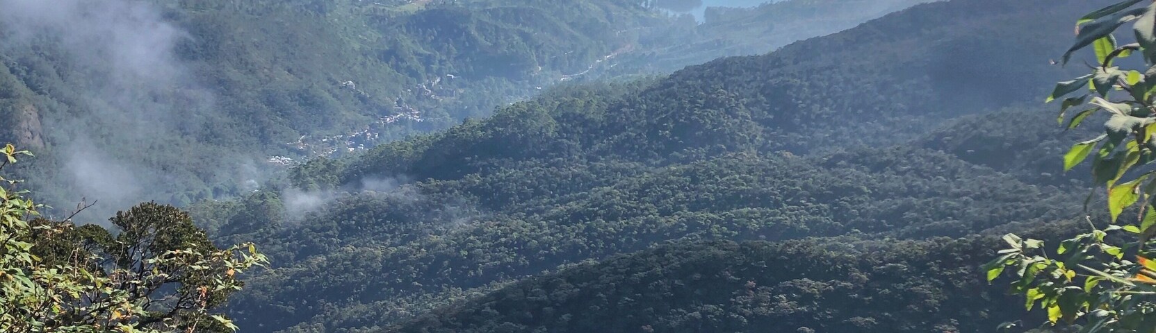 Sri Padaya is where the buddhists believe that the footprint of lord Buddha is situated as well as this sacred place is called Adam’s peak.
Though it is significant for a religious reason and many Sri Lankans pilgrim every year it has a rich bio diversity and a world heritage sight!
Now one of the main concerns is the polytene circulation in this diversified hot spot.As travelers we should be mindful of being eco friendly and sustainable!
After thousands of steps into the peak you can witness amazeball views like this and you’ll regret of a single drop of sweat you spilled 🙌🏾
#srilanka #nature #trover #travel #trovernature #places #biodiversity #mountains
