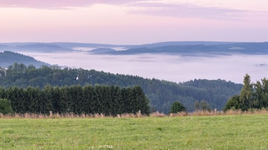 A valley with dense forests and a misty atmosphere.
