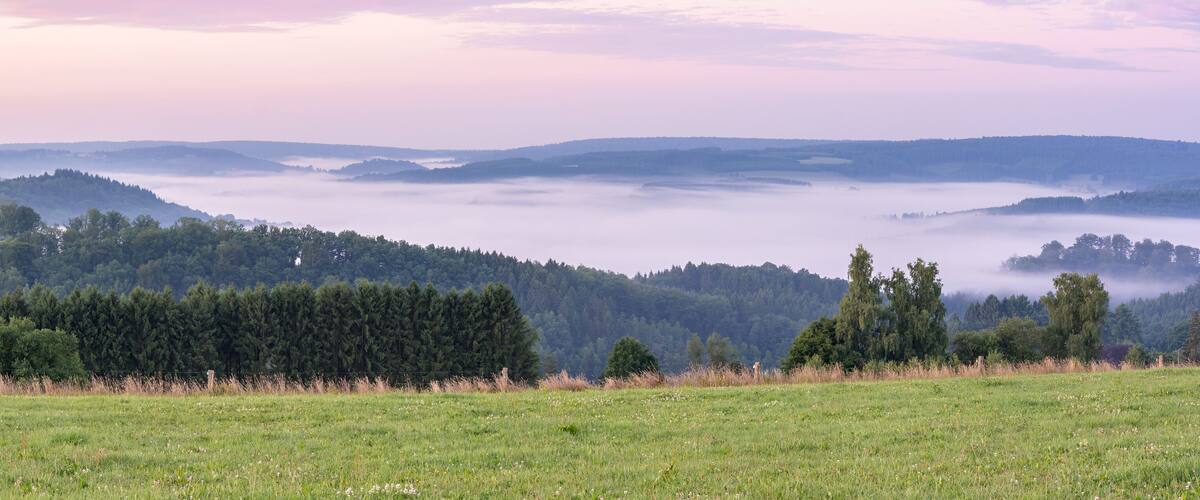 A valley with dense forests and a misty atmosphere.