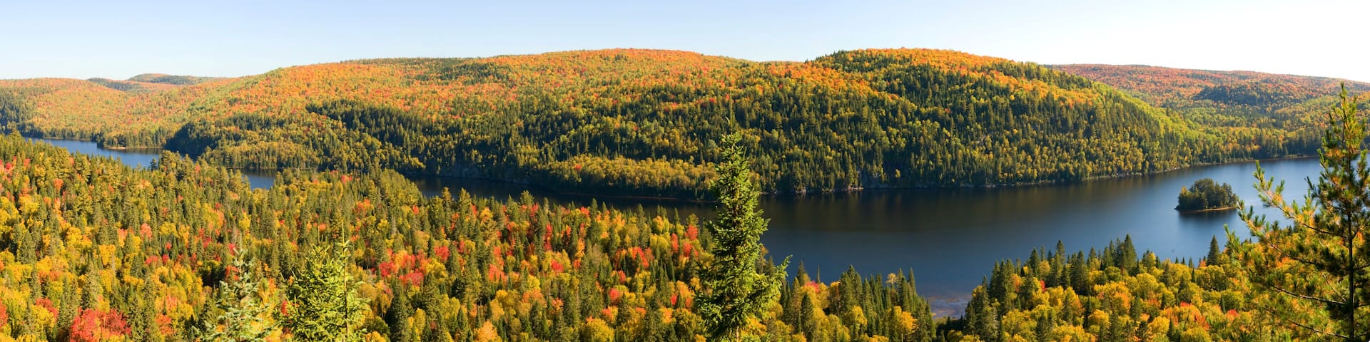 Fall Foliage along Lake Wapizagonke