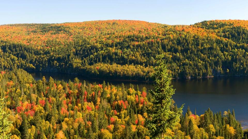 A lake surrounded by forested hills with autumn foliage.