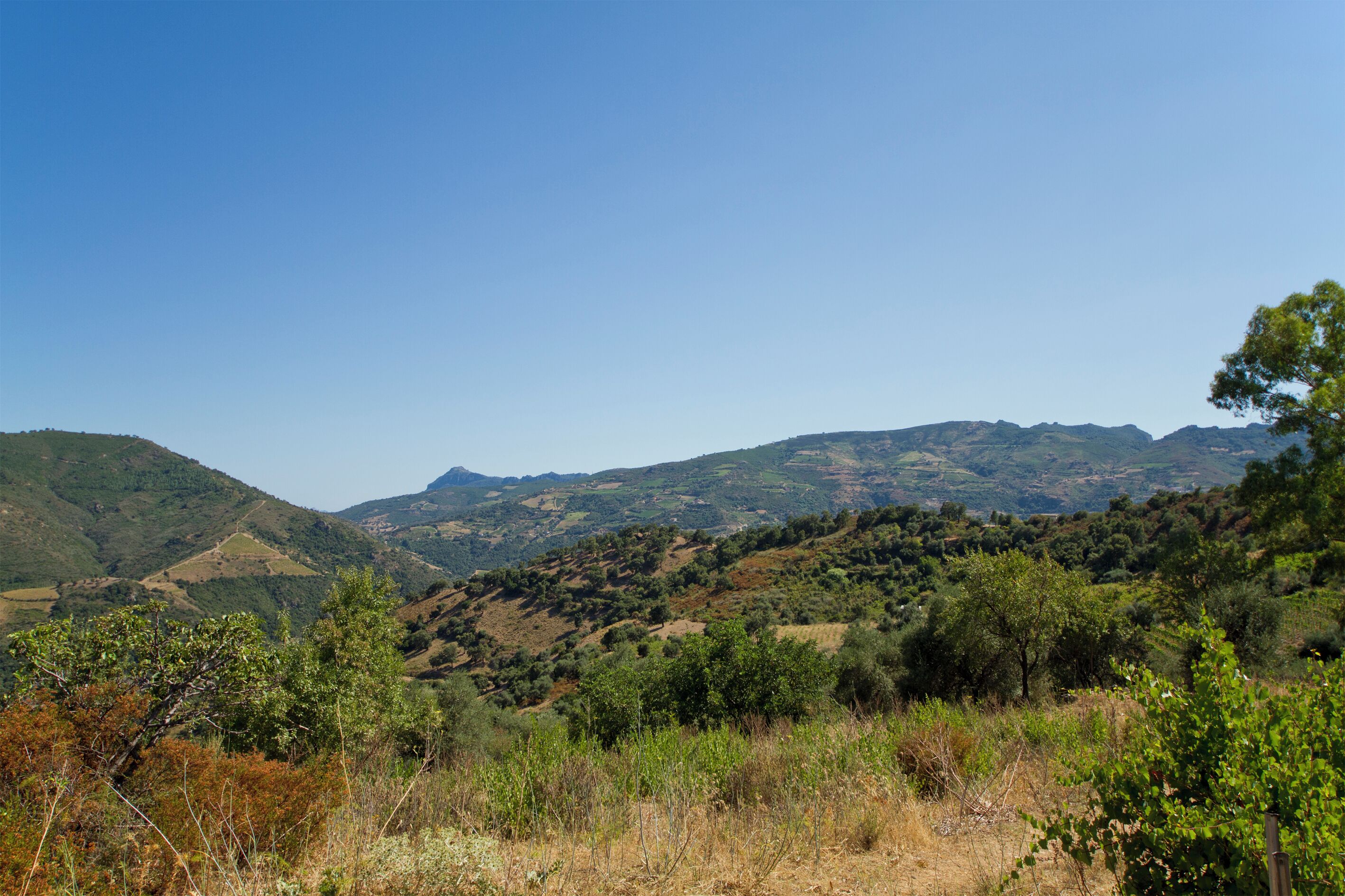 08040 Osini, Province of Ogliastra, Italy