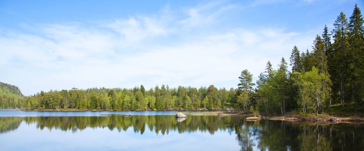 A calm lake with reflections of trees and a clear sky.