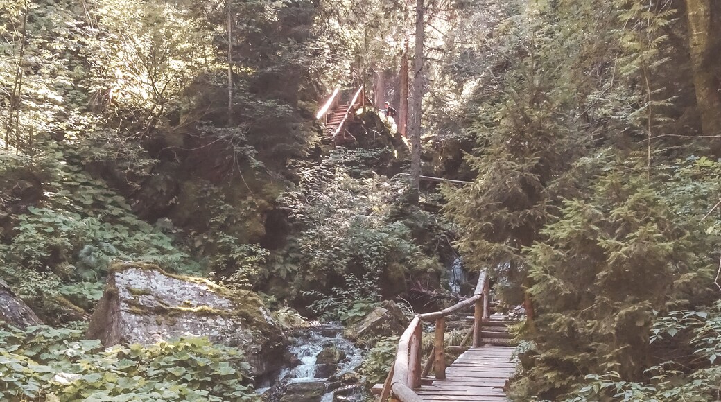 Jeseníky Mountain are almost unknown to foreign tourists, but they are one of the best places in Czech Republic! ⛰️⛰️⛰️
The hike through the Bílá Opava valley to get to the top of Mount Praděd was one of the most beautiful I've ever done 😍 but there are other adrenaline-pumping activities that you can do in this place!
#nature #czechia