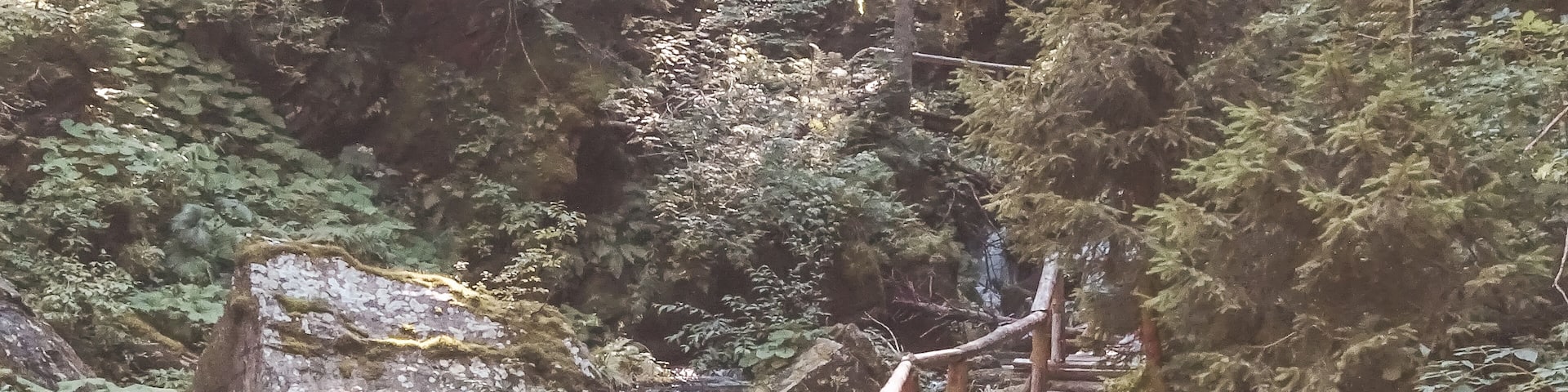 JesenĂky Mountain are almost unknown to foreign tourists, but they are one of the best places in Czech Republic! â°ïžâ°ïžâ°ïž
The hike through the BĂlĂĄ Opava valley to get to the top of Mount PradÄd was one of the most beautiful I've ever done đ but there are other adrenaline-pumping activities that you can do in this place!
#nature #czechia
