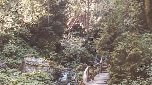 Jeseníky Mountain are almost unknown to foreign tourists, but they are one of the best places in Czech Republic! ⛰️⛰️⛰️
The hike through the Bílá Opava valley to get to the top of Mount Praděd was one of the most beautiful I've ever done 😍 but there are other adrenaline-pumping activities that you can do in this place!
#nature #czechia