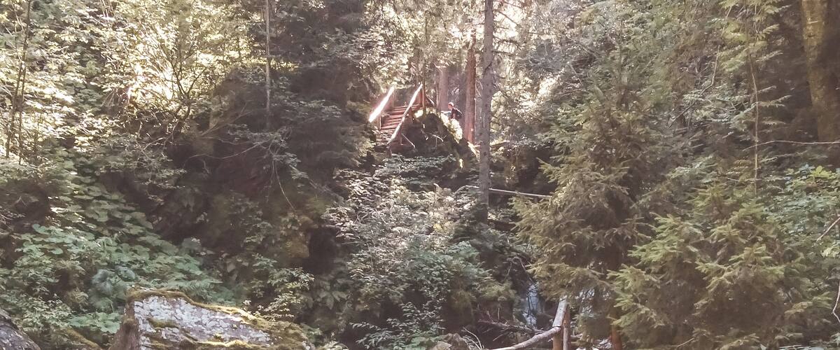 A wooden boardwalk beside a flowing stream in a forested area.