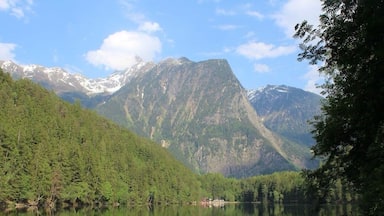 Warmest swimming lake in the Tyrol (apparently) Piburgersee has pontoons and rope swings to dive off of and also boat to hire. Lovely walk around the lake too will take about an hour