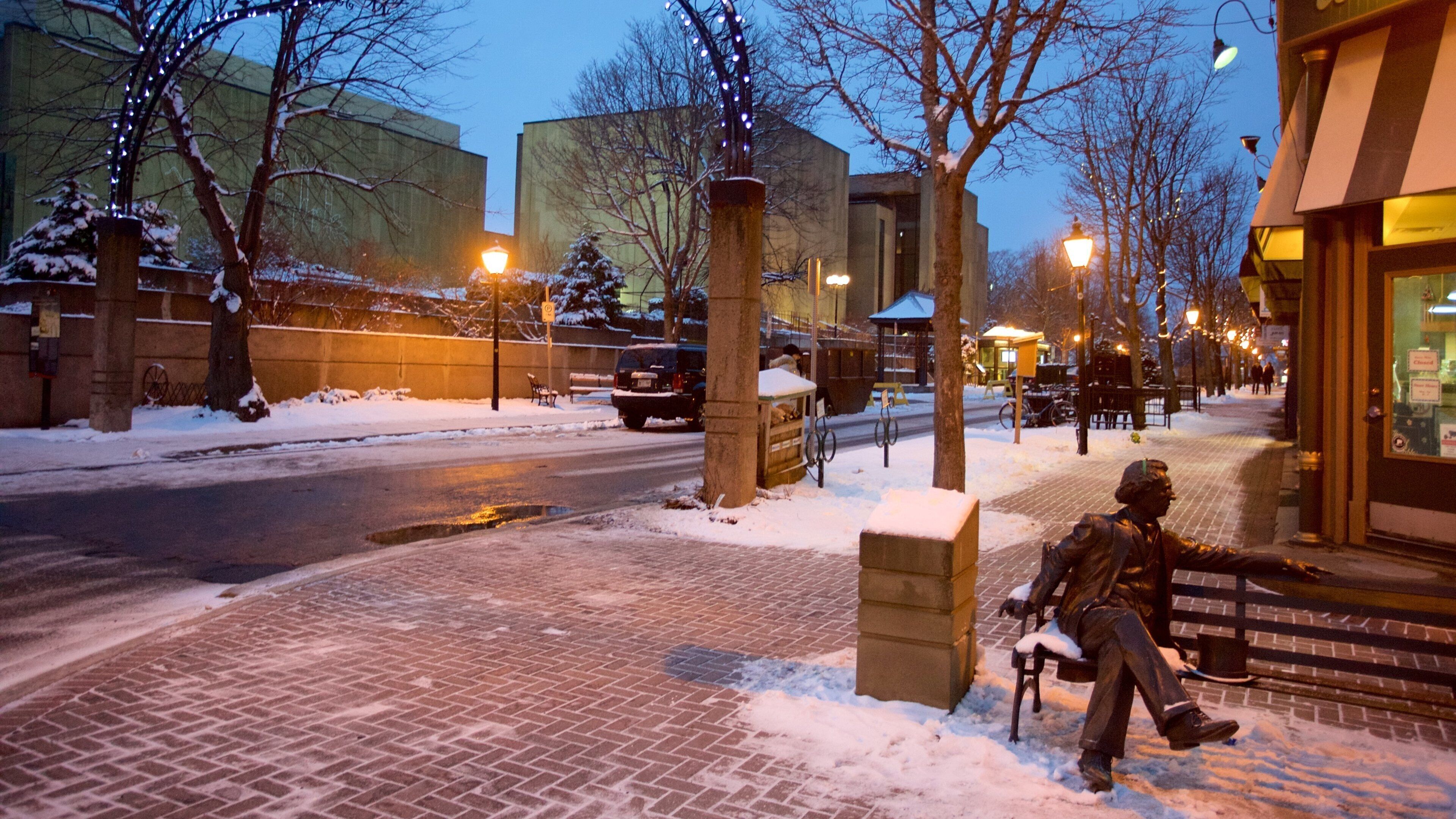 Victoria Row showing night scenes, a statue or sculpture and snow
