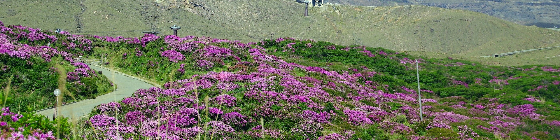 ミヤマキリシマと阿蘇山 (Mt.Aso with Kyushu Azarea) 24 May, 2013