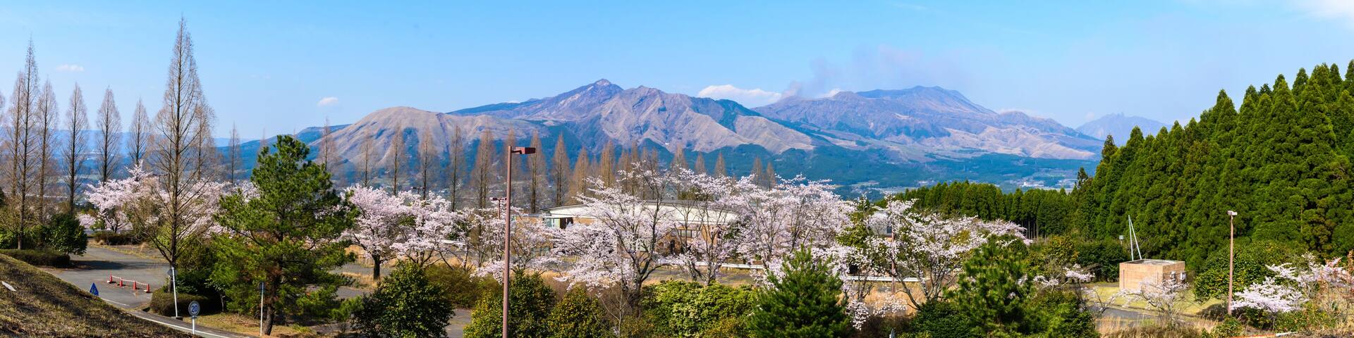 A mountain range with snow-capped peaks, cherry blossoms in the foreground, and a clear blue sky.