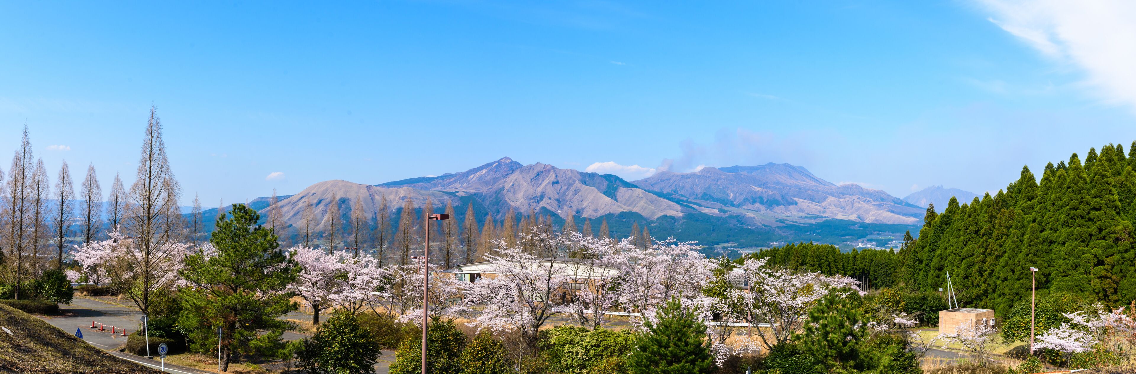 A mountain range with snow-capped peaks, cherry blossoms in the foreground, and a clear blue sky.