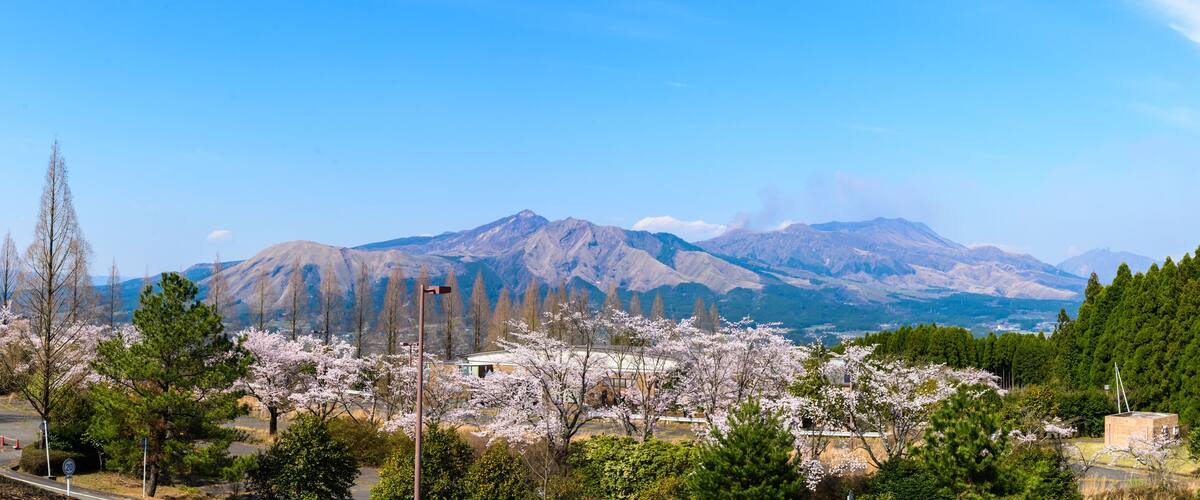 A mountain range with snow-capped peaks, cherry blossoms in the foreground, and a clear blue sky.