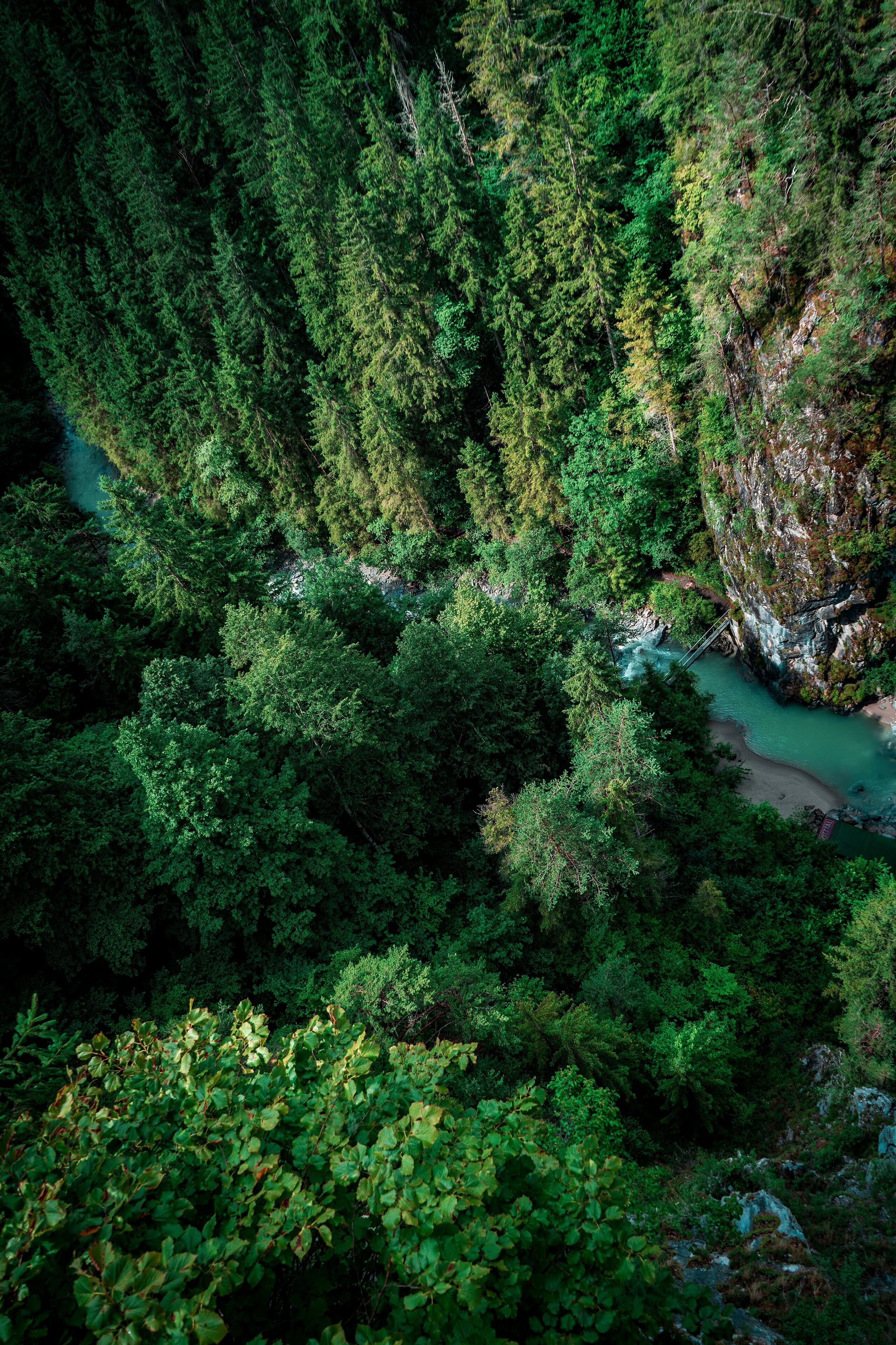 Our Earth

#nature
#austria
#landscape