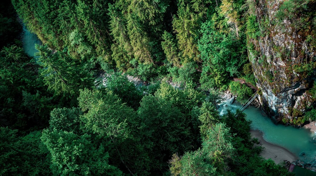 Our Earth
#nature
#austria
#landscape