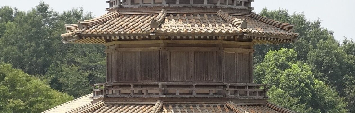 Kikuchi Castle with Red Rice (Yamaga City, Kumamoto, Japan)