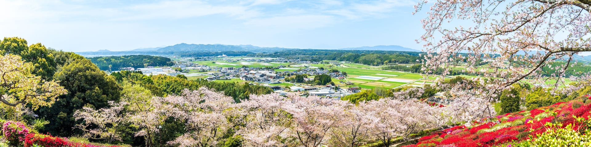 うららかな春空に映えるツツジの花と桜の花コラボ絶景風景
Spectacular scenery where azalea flowers and cherry blossoms collaborate against the bright spring sky
日本(春)2023年
Japan (Spring) 2023
九州・熊本県山鹿市
Yamaga City, Kumamoto
「日輪寺」