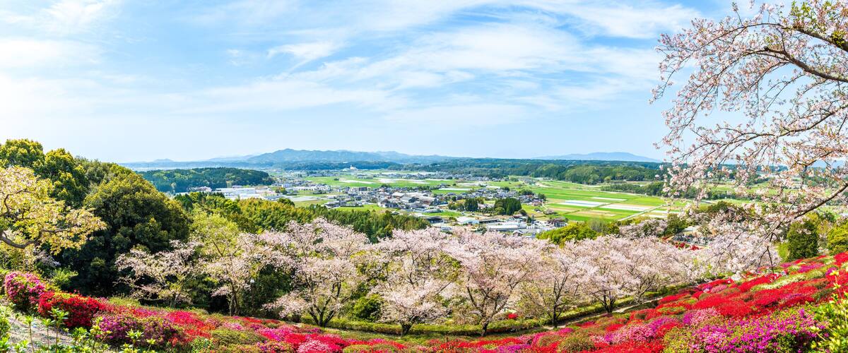 A valley with cherry blossoms, a town, and green fields.