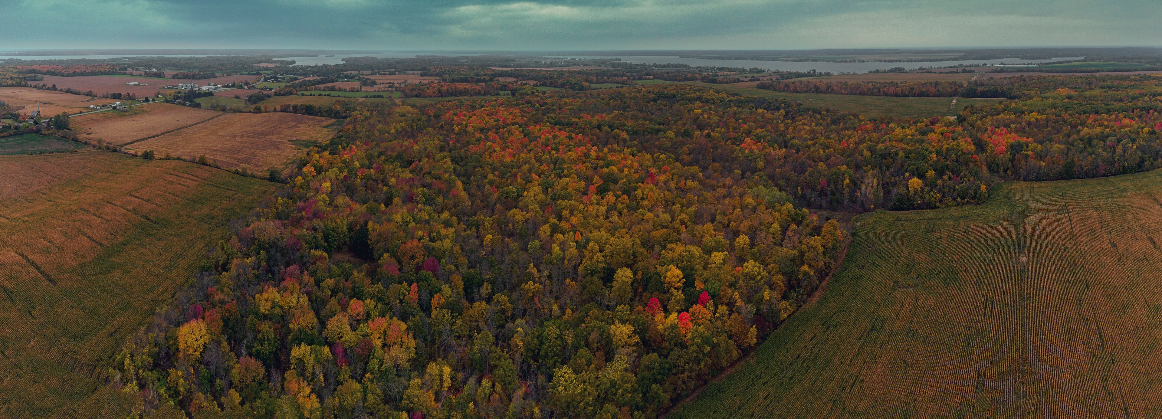 Cold air landscapes of rural scenes depicting barns and abandoned homes in fall colour settings around the South East of Ontario Canada in The Greater Napanee and Stone Mills township.
