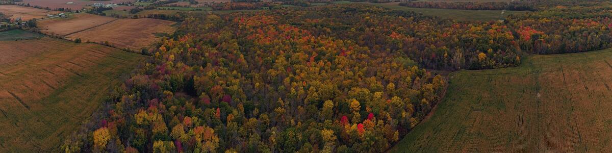 Cold air landscapes of rural scenes depicting barns and abandoned homes in fall colour settings around the South East of Ontario Canada in The Greater Napanee and Stone Mills township.