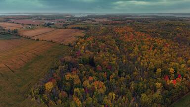 An aerial view of a landscape with autumn-colored trees, fields, and a distant body of water.