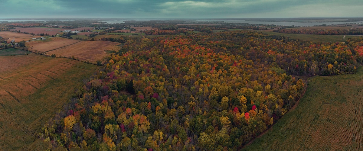 An aerial view of a landscape with autumn-colored trees, fields, and a distant body of water.