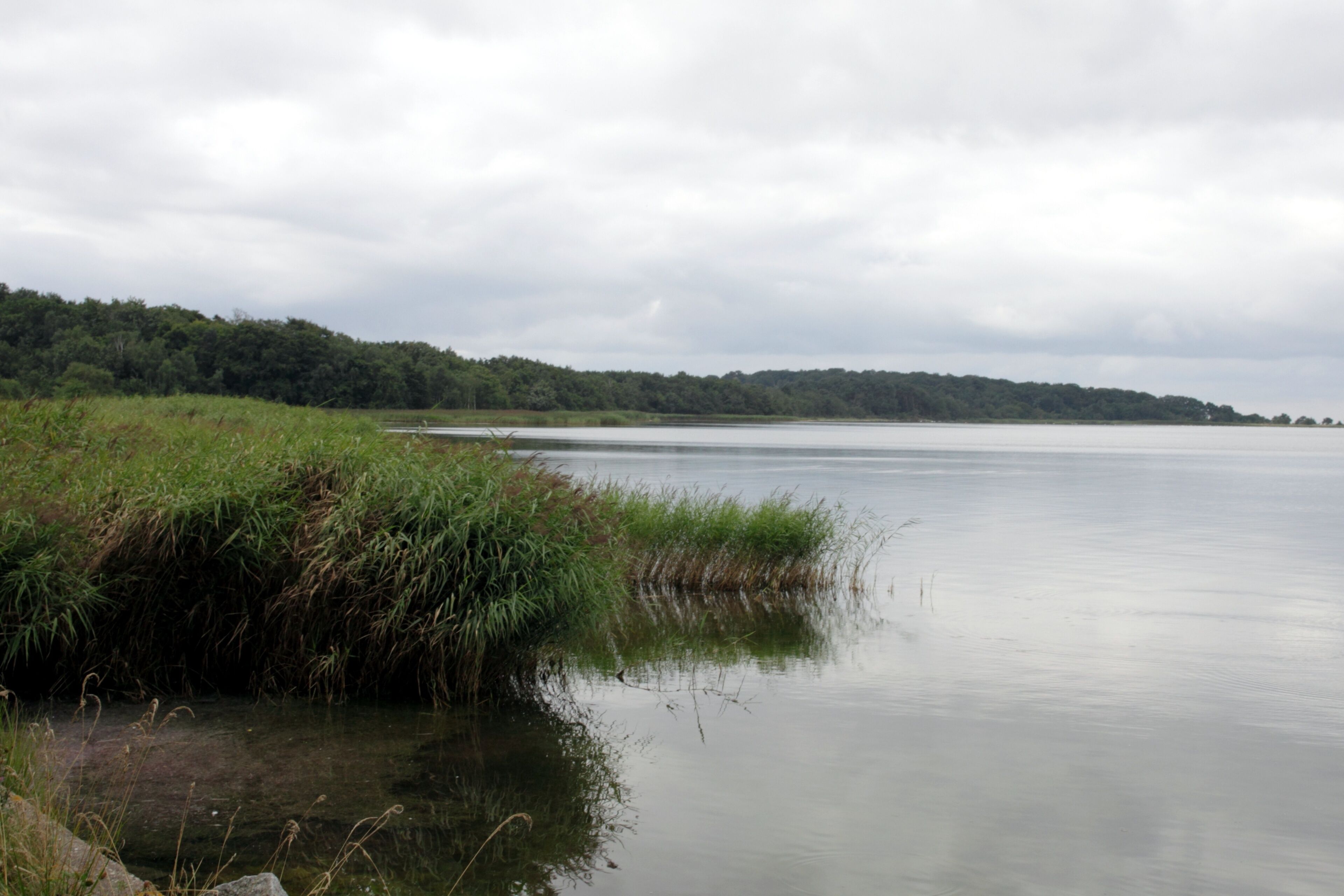 NSG Insel Vilm: Küstenstreifen am Ostufer des Großen Vilm.