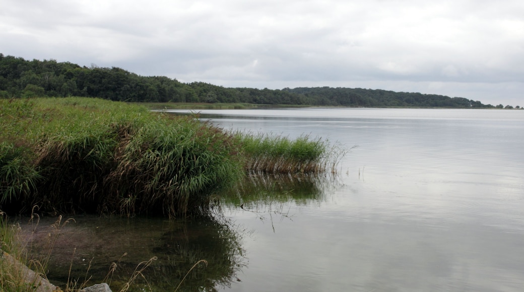 NSG Insel Vilm: Küstenstreifen am Ostufer des Großen Vilm.