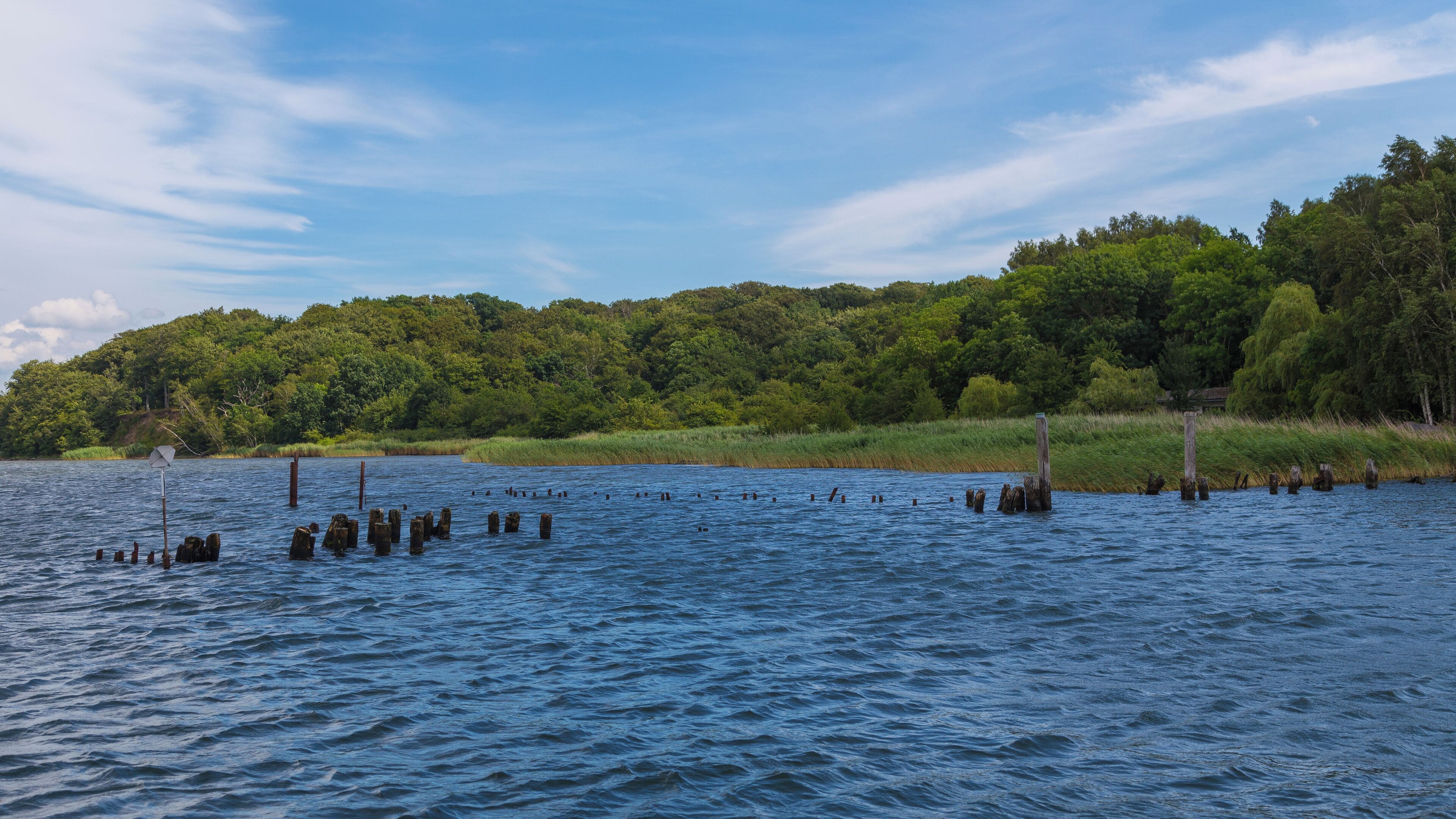 A calm lake with wooden posts in the water and a forested hill in the background.