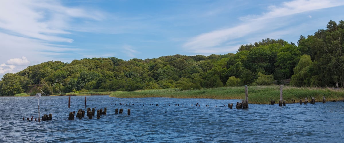 A calm lake with wooden posts in the water and a forested hill in the background.