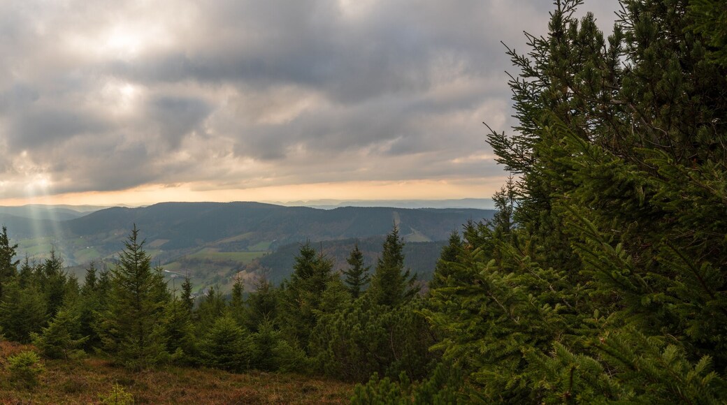 Vue plongante sur la vallée depuis le sommet du Brézouard, Alsace, Haut-Rhin, Vosges, France