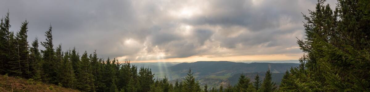 Vue plongante sur la vallée depuis le sommet du Brézouard, Alsace, Haut-Rhin, Vosges, France