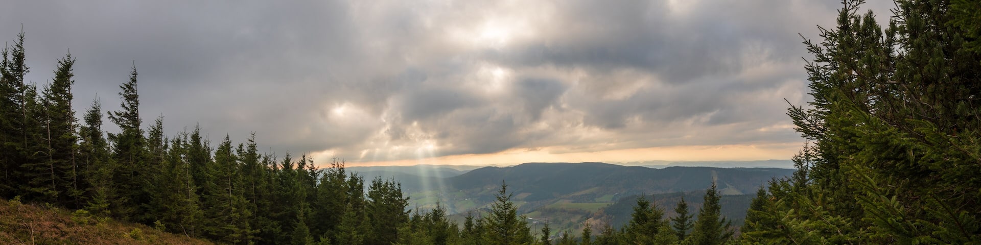 Vue plongante sur la vallée depuis le sommet du Brézouard, Alsace, Haut-Rhin, Vosges, France