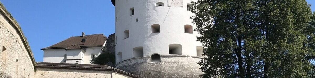 Un château historique doté d’une tour ronde, de murs en pierre et d’un grand arbre au premier plan.