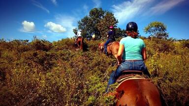 Three people riding horses on a hill with dense vegetation and trees in the background.