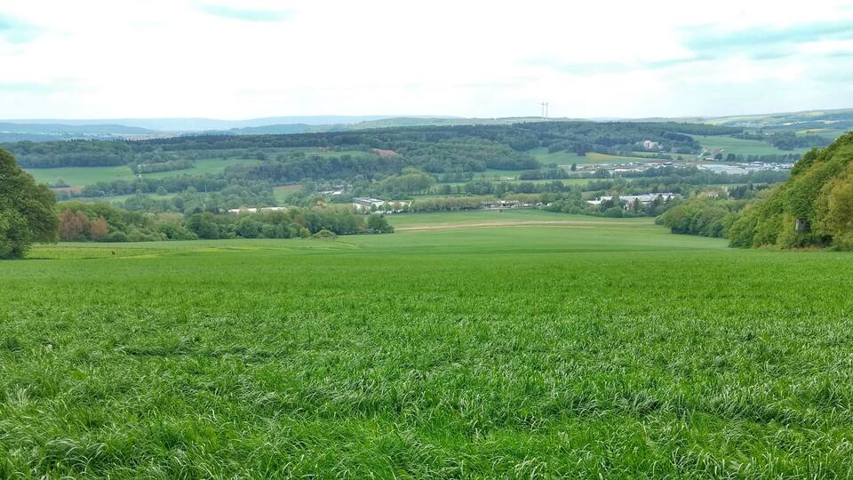 A lush green field with rolling hills and scattered buildings in the distance.