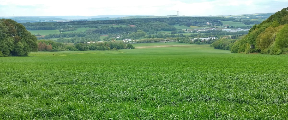 A lush green field with rolling hills and scattered buildings in the distance.