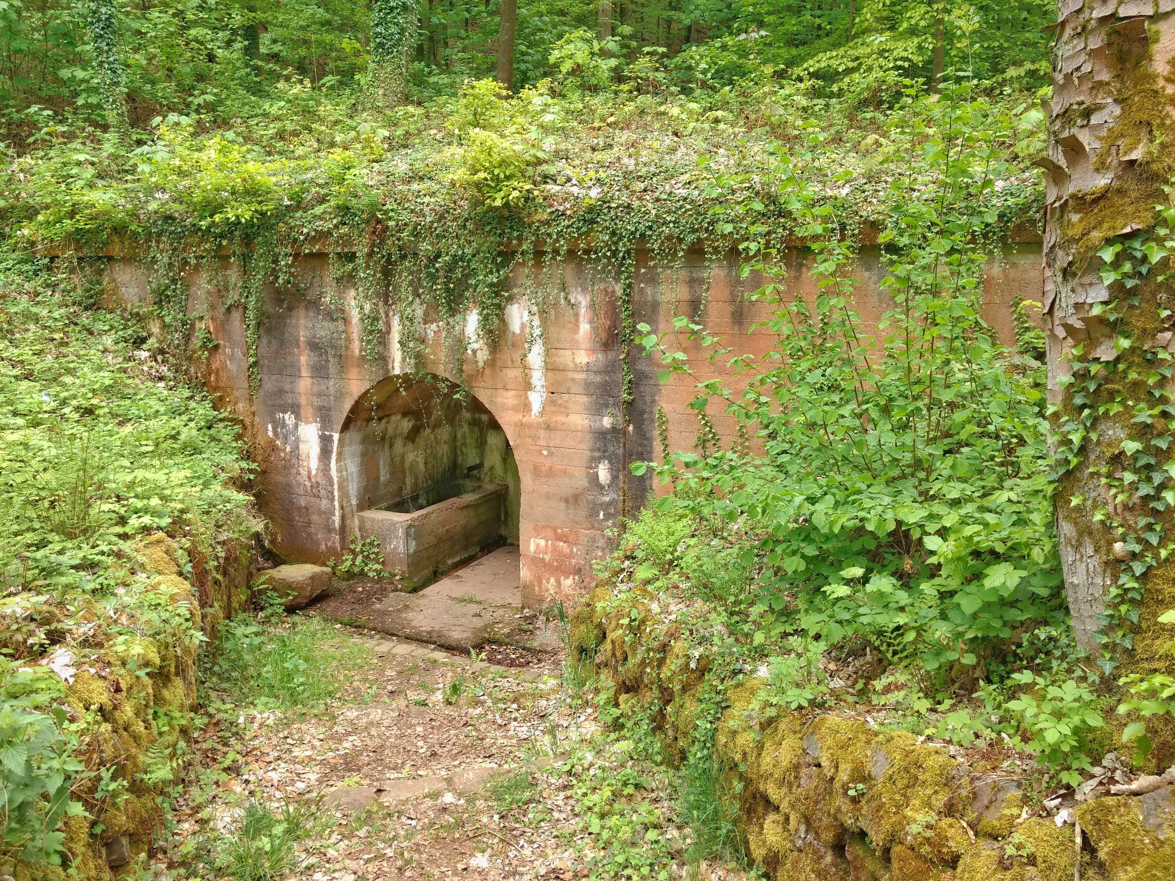 Pferdetränke Kaltensteinpfad