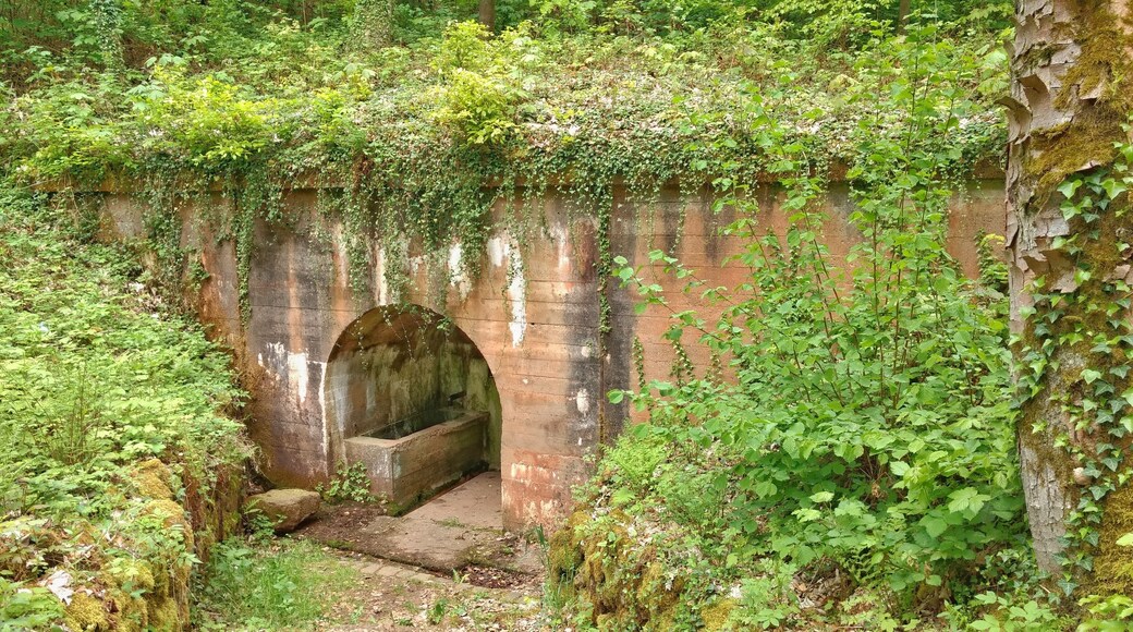 Pferdetränke Kaltensteinpfad