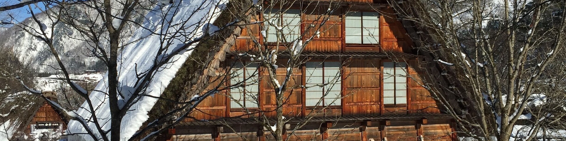 A Gasshō-zukuri. Not many of them left, now a UNESCO world heritage site.