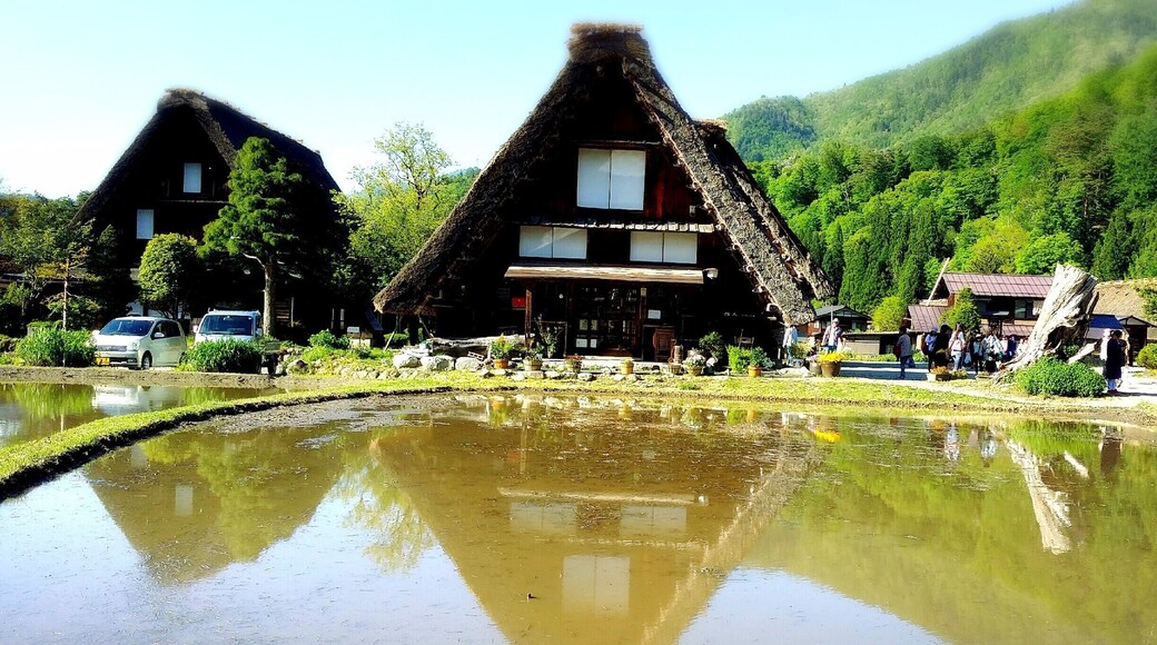 It is best known for being the site of Shirakawa-gō, a small, traditional village showcasing a building style known as gasshō-zukuri.