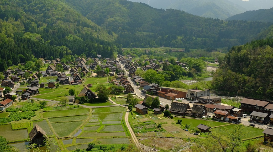 Shirakawa, Ono District, Gifu Prefecture, Japan