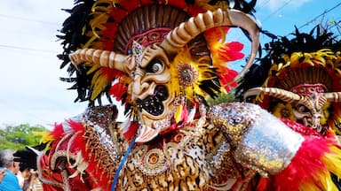 Máscara colorida e ornamentada com padrões elaborados e penas vibrantes.