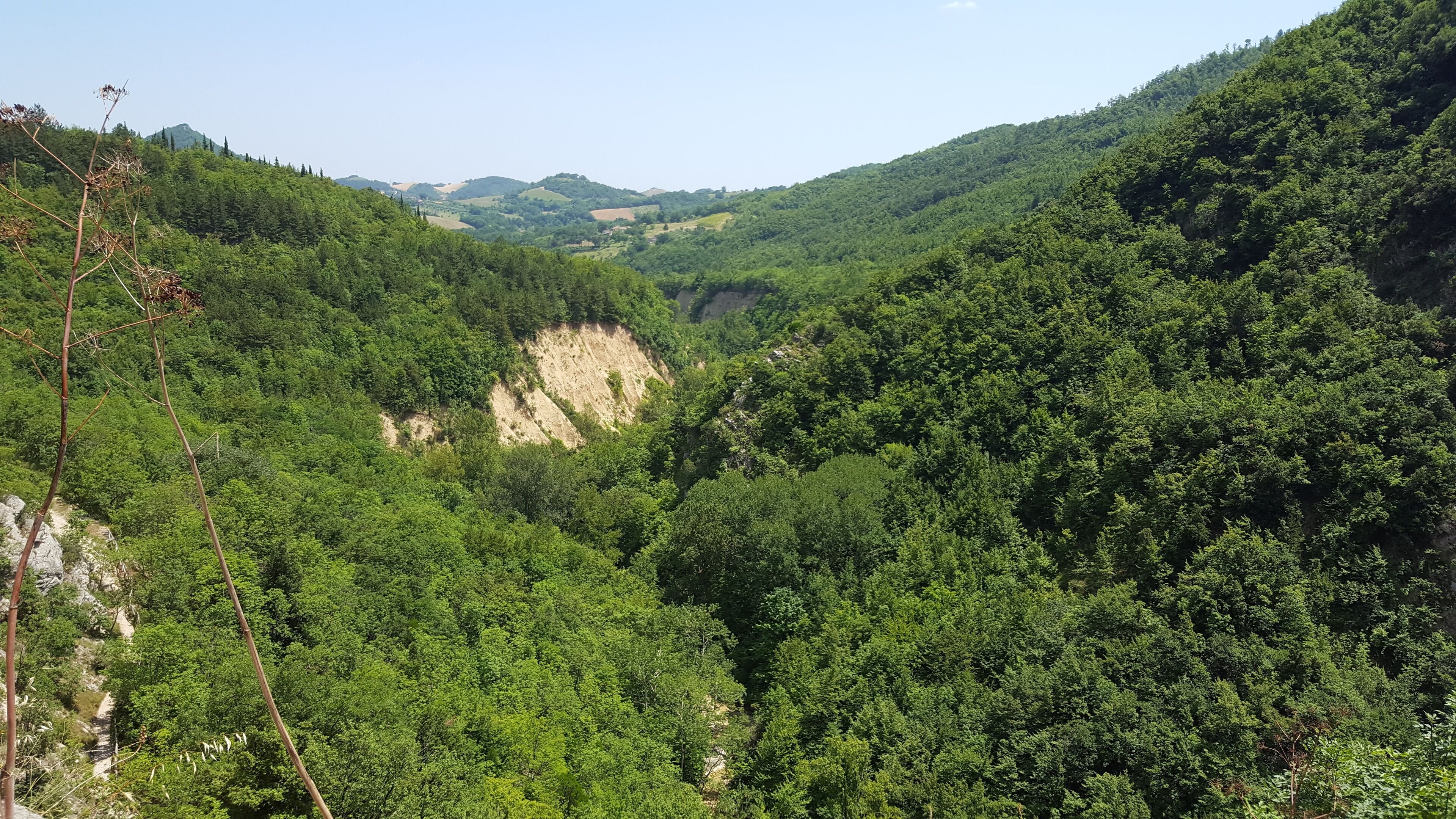 Gole del Salinello - from the gill