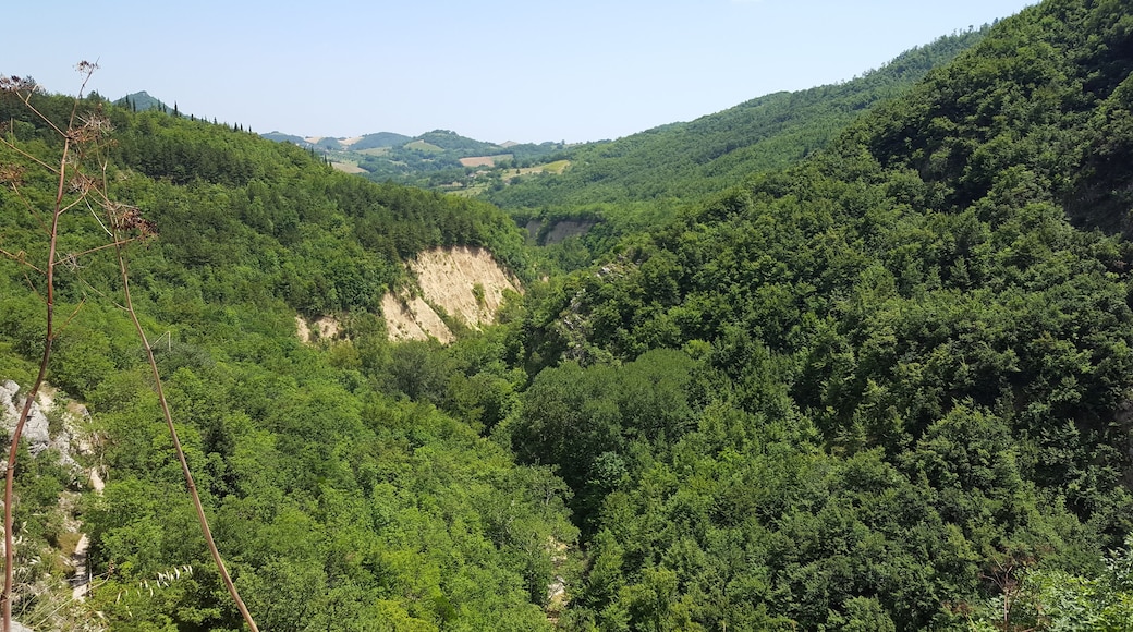 Gole del Salinello - from the gill